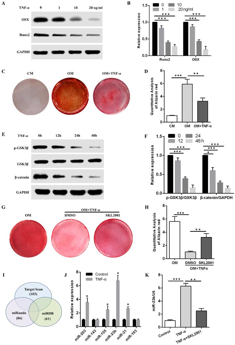 https://cdn.ncbi.nlm.nih.gov/pmc/blobs/1cce/8579284/8c7e777d1c65/ijmsv18p3674g002.jpg