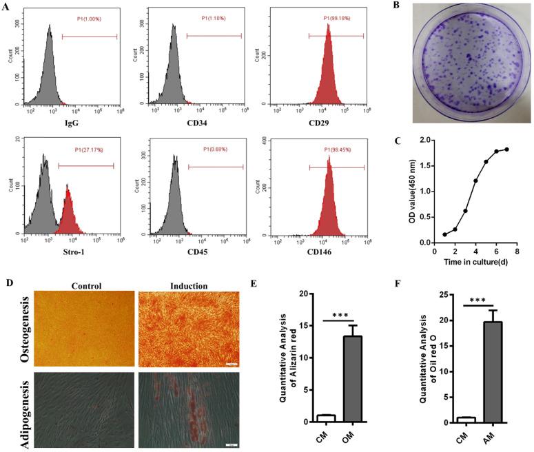 https://cdn.ncbi.nlm.nih.gov/pmc/blobs/1cce/8579284/8ca6be521f15/ijmsv18p3674g001.jpg