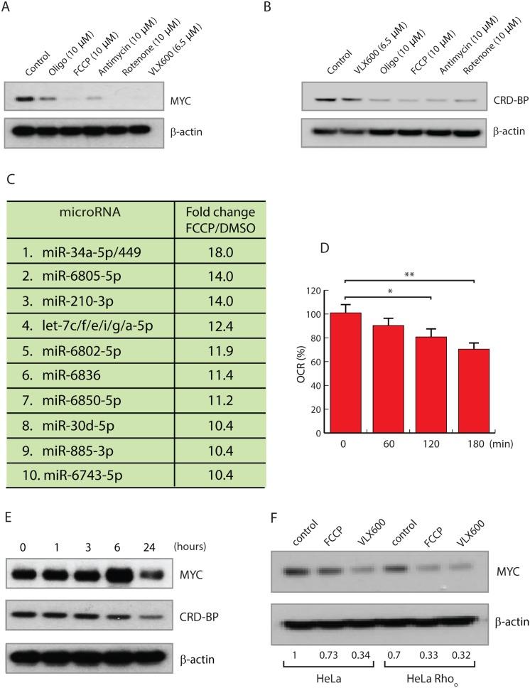 https://cdn.ncbi.nlm.nih.gov/pmc/blobs/1ccf/5685744/aa61d26cff6b/oncotarget-08-90225-g004.jpg