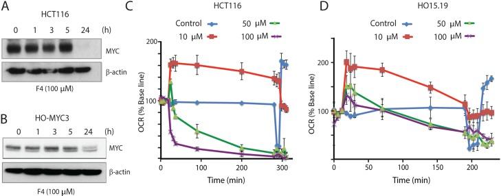 https://cdn.ncbi.nlm.nih.gov/pmc/blobs/1ccf/5685744/aaca6d7c2ec9/oncotarget-08-90225-g005.jpg