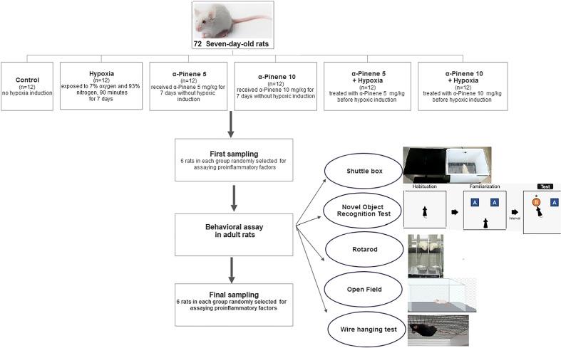 https://cdn.ncbi.nlm.nih.gov/pmc/blobs/1cd0/10944845/54c0f46a247b/41598_2024_56756_Fig1_HTML.jpg