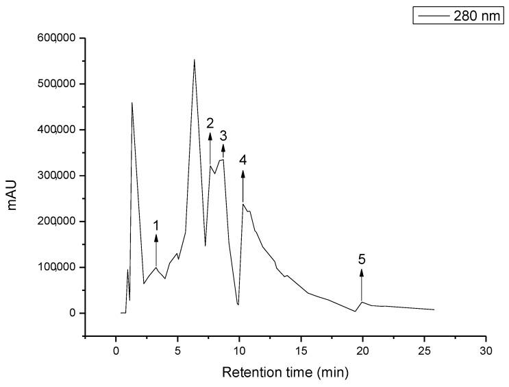 https://cdn.ncbi.nlm.nih.gov/pmc/blobs/1cd0/9786702/3d532f9cb1d1/polymers-14-05457-g002a.jpg