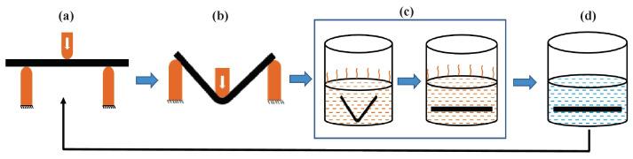 https://cdn.ncbi.nlm.nih.gov/pmc/blobs/1cd6/9919569/194f64b86b72/polymers-15-00710-g004.jpg