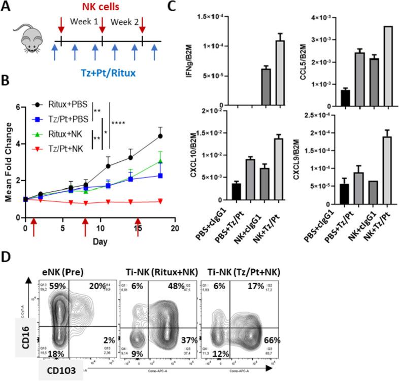 https://cdn.ncbi.nlm.nih.gov/pmc/blobs/1cd9/10763072/2b359d4e402c/13046_2023_2918_Fig3_HTML.jpg