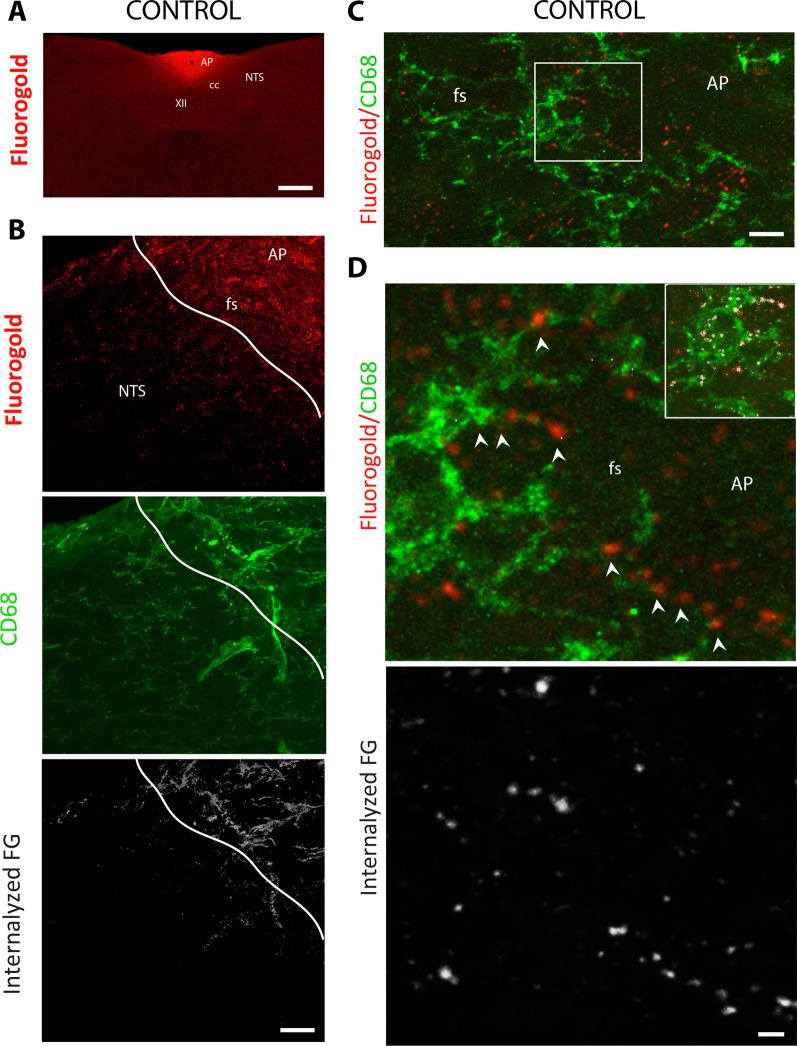 https://cdn.ncbi.nlm.nih.gov/pmc/blobs/1cda/9675145/7e88ba354b11/12974_2022_2631_Fig9_HTML.jpg