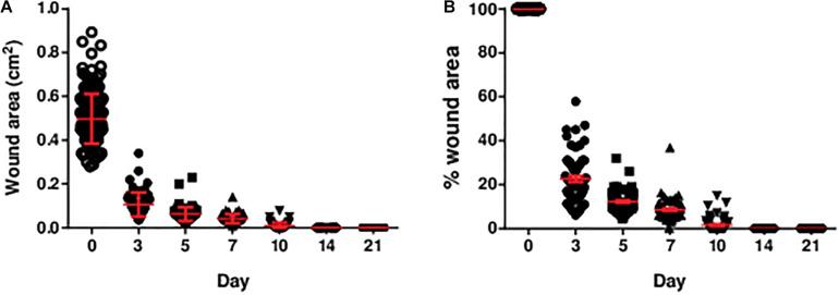 https://cdn.ncbi.nlm.nih.gov/pmc/blobs/1cdb/7969662/1882ca901608/fbioe-09-648453-g002.jpg
