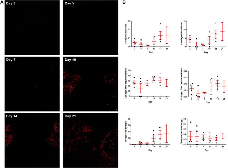 https://cdn.ncbi.nlm.nih.gov/pmc/blobs/1cdb/7969662/b50635a590fd/fbioe-09-648453-g004.jpg