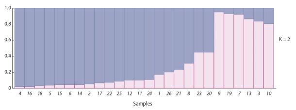 https://cdn.ncbi.nlm.nih.gov/pmc/blobs/1cdd/7716573/6189d386b786/VJGB-24-20639-Fig3.jpg