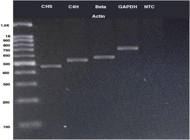 https://cdn.ncbi.nlm.nih.gov/pmc/blobs/1cdd/9114027/c7a2fdb19230/41598_2022_12361_Fig10_HTML.jpg