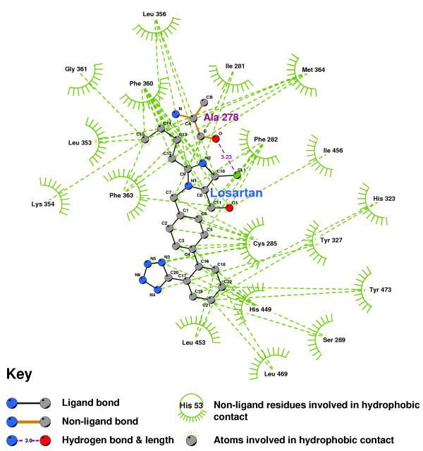 https://cdn.ncbi.nlm.nih.gov/pmc/blobs/1ce1/1360063/48cb202e2acb/1742-4682-3-1-28.jpg
