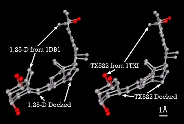 https://cdn.ncbi.nlm.nih.gov/pmc/blobs/1ce1/1360063/76c607af8eb0/1742-4682-3-1-1.jpg