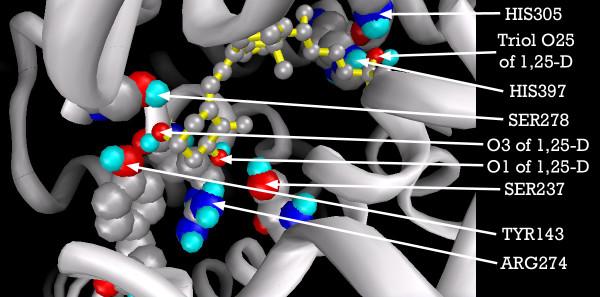 https://cdn.ncbi.nlm.nih.gov/pmc/blobs/1ce1/1360063/a10993464be9/1742-4682-3-1-4.jpg