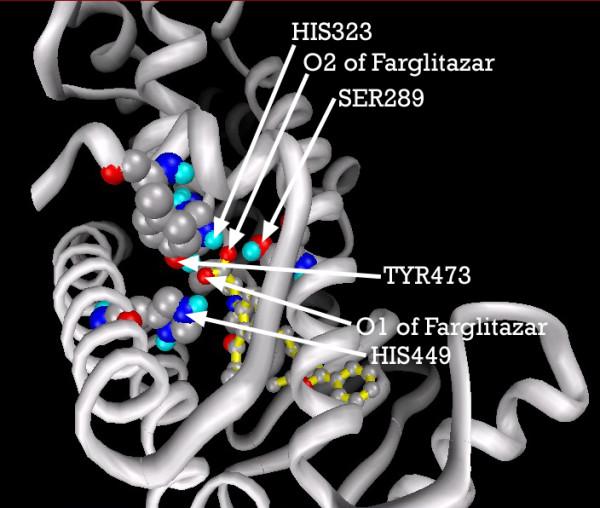 https://cdn.ncbi.nlm.nih.gov/pmc/blobs/1ce1/1360063/ee7778fc70c4/1742-4682-3-1-25.jpg