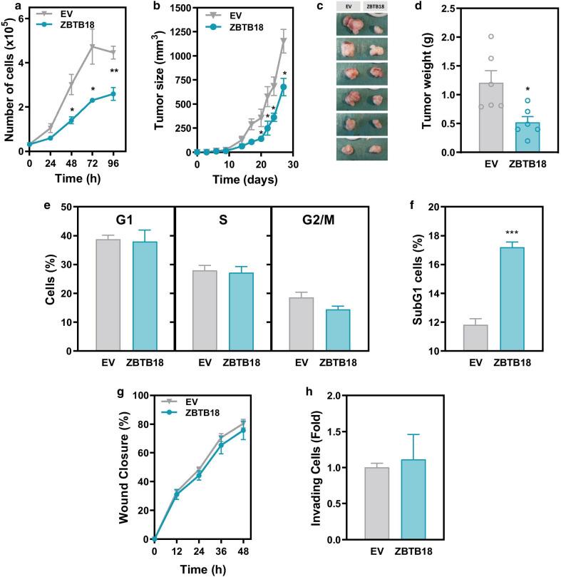 https://cdn.ncbi.nlm.nih.gov/pmc/blobs/1ce1/8063439/05274f9f707c/13148_2021_1070_Fig3_HTML.jpg