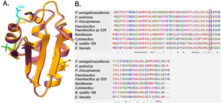 https://cdn.ncbi.nlm.nih.gov/pmc/blobs/1ce3/12445079/4dd9faca31d3/jb.00162-25.f005.jpg