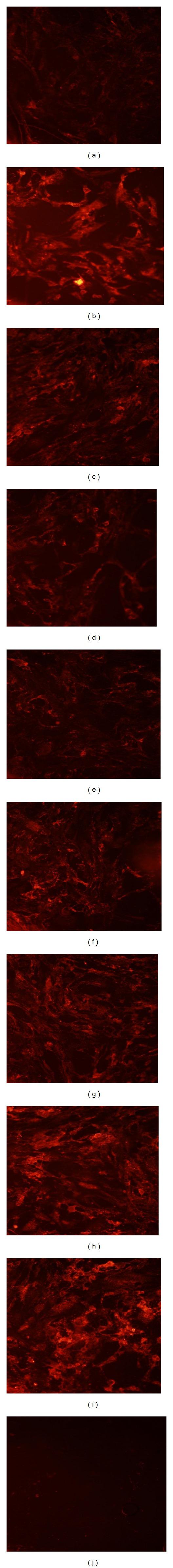 https://cdn.ncbi.nlm.nih.gov/pmc/blobs/1ce4/4021834/35d7780ef037/OMCL2014-463815.006.jpg