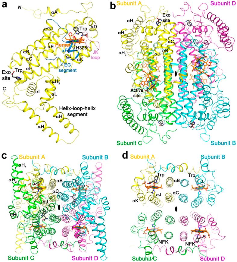 https://cdn.ncbi.nlm.nih.gov/pmc/blobs/1ce4/5071832/d3b0cfa1f3c9/srep35169-f2.jpg