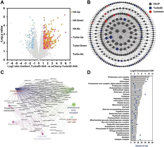 https://cdn.ncbi.nlm.nih.gov/pmc/blobs/1ce8/10433927/245ddab79ae5/erad188_fig2.jpg