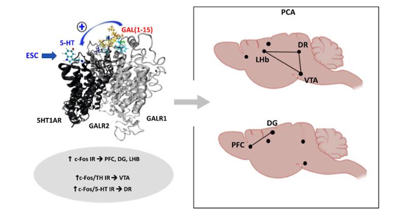 https://cdn.ncbi.nlm.nih.gov/pmc/blobs/1ce9/11808584/59ee791f8169/CN-23-3-295_F3.jpg