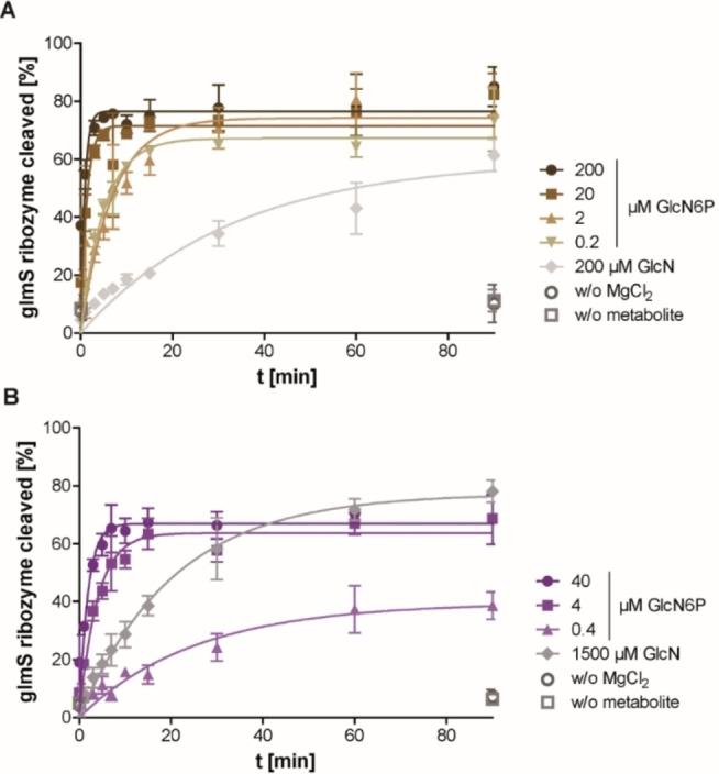 https://cdn.ncbi.nlm.nih.gov/pmc/blobs/1cea/10099748/866d28a5b67e/CHEM-29-0-g005.jpg