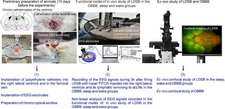 https://cdn.ncbi.nlm.nih.gov/pmc/blobs/1ceb/9841170/e05720d31ecf/gr5.jpg