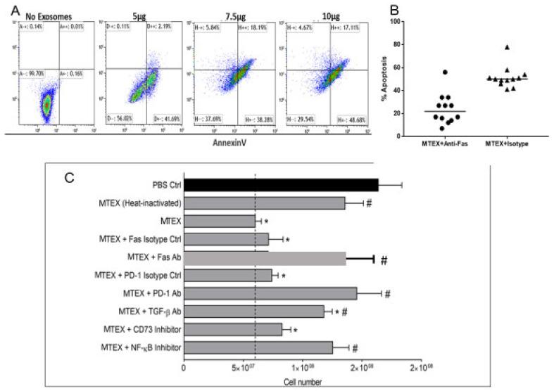 https://cdn.ncbi.nlm.nih.gov/pmc/blobs/1cee/8229953/106b3ef0e7e8/ijms-22-06234-g003.jpg