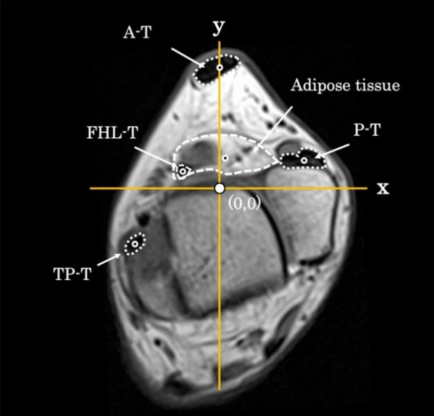 https://cdn.ncbi.nlm.nih.gov/pmc/blobs/1cf0/11266517/91bf1a88f229/41598_2024_67831_Fig9_HTML.jpg
