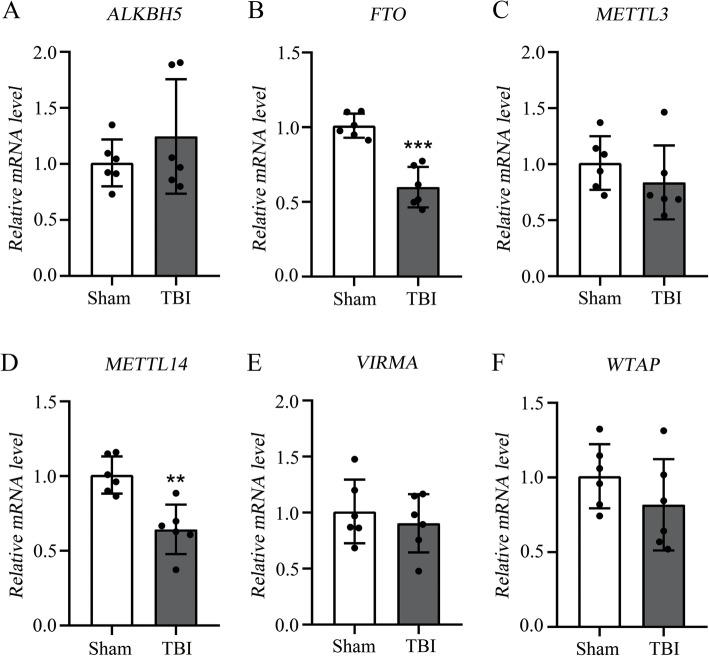 https://cdn.ncbi.nlm.nih.gov/pmc/blobs/1cf0/6986156/2e68a9eb9bdb/13041_2020_554_Fig1_HTML.jpg