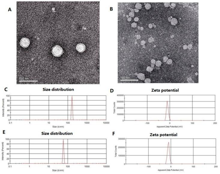 https://cdn.ncbi.nlm.nih.gov/pmc/blobs/1cf0/7696174/22d95f074872/molecules-25-05302-g001.jpg