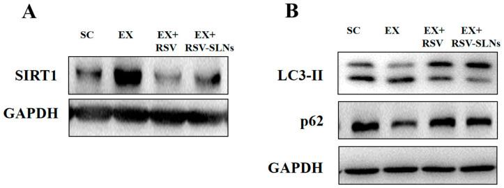 https://cdn.ncbi.nlm.nih.gov/pmc/blobs/1cf0/7696174/8da96e09f2c4/molecules-25-05302-g008.jpg