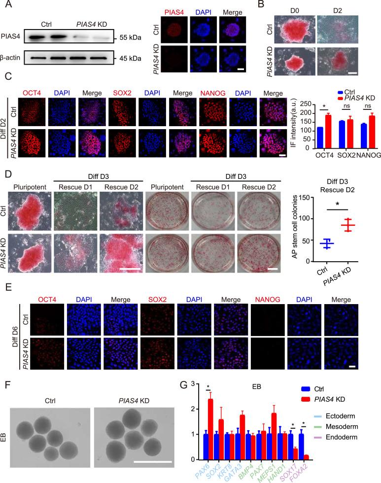 https://cdn.ncbi.nlm.nih.gov/pmc/blobs/1cf1/12327875/0b49219daf51/gr3.jpg