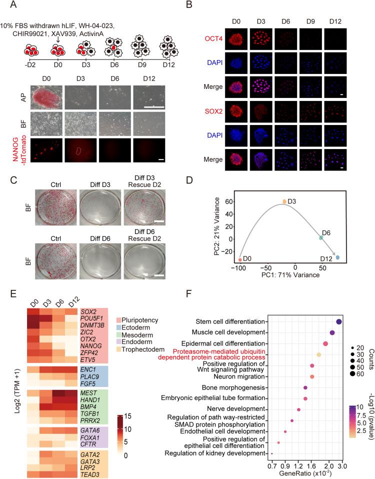 https://cdn.ncbi.nlm.nih.gov/pmc/blobs/1cf1/12327875/a545a4b5144e/gr1.jpg