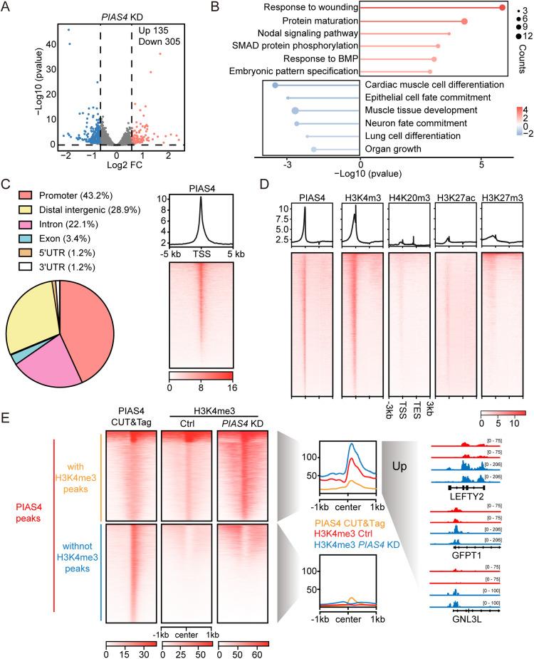 https://cdn.ncbi.nlm.nih.gov/pmc/blobs/1cf1/12327875/c9acf78a293b/gr4.jpg