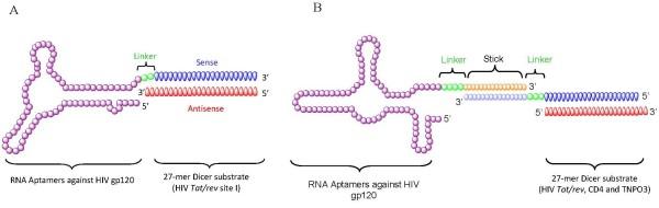 https://cdn.ncbi.nlm.nih.gov/pmc/blobs/1cf1/2835998/c5a48a2a4b38/1758-907X-1-4-3.jpg