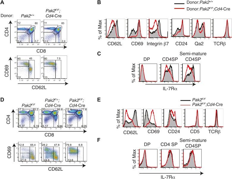https://cdn.ncbi.nlm.nih.gov/pmc/blobs/1cf1/4017645/31ce2d4cbe33/elife02270f006.jpg