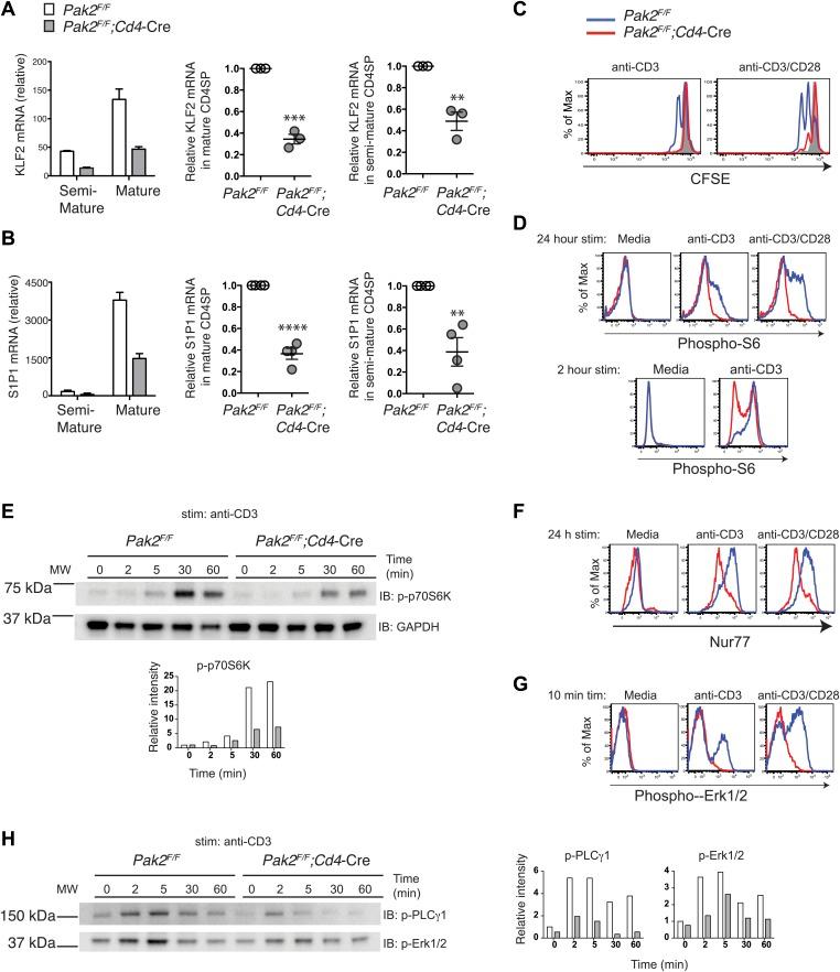 https://cdn.ncbi.nlm.nih.gov/pmc/blobs/1cf1/4017645/a3dfac29e178/elife02270f007.jpg