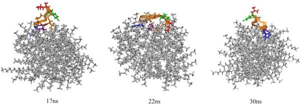 https://cdn.ncbi.nlm.nih.gov/pmc/blobs/1cf4/1959233/916d34c81268/1471-2091-8-11-7.jpg