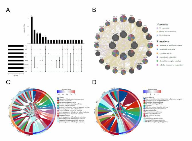 https://cdn.ncbi.nlm.nih.gov/pmc/blobs/1cf6/11452488/880f92146416/41598_2024_73244_Fig4_HTML.jpg