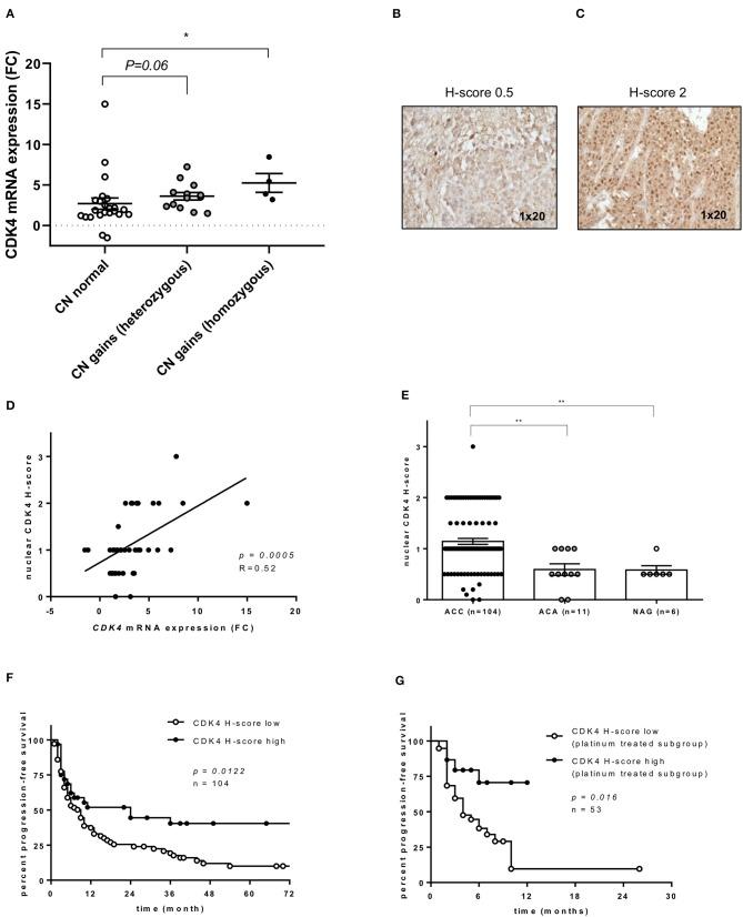 https://cdn.ncbi.nlm.nih.gov/pmc/blobs/1cf6/7176906/655038943839/fendo-11-00219-g0002.jpg