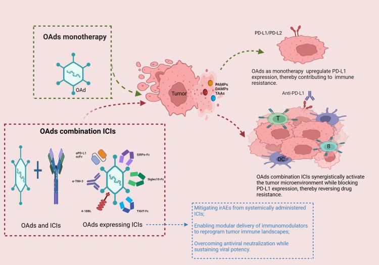 https://cdn.ncbi.nlm.nih.gov/pmc/blobs/1cf7/12279847/98bcd9765ad8/fimmu-16-1610858-g001.jpg