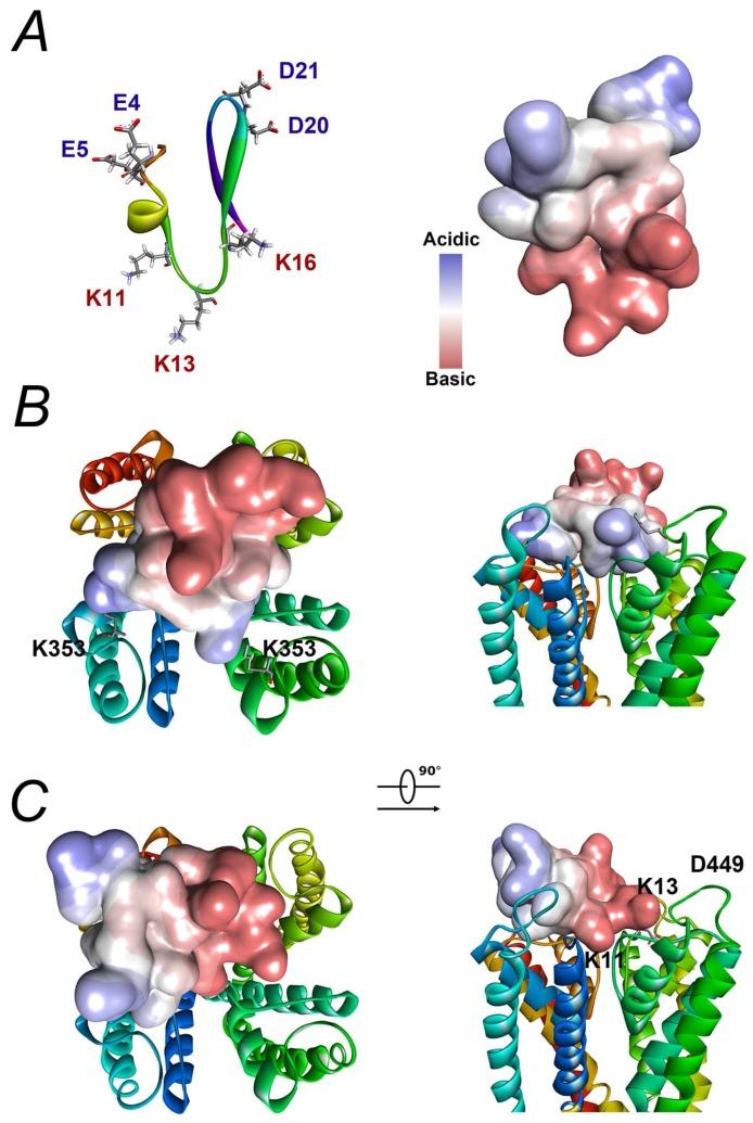 https://cdn.ncbi.nlm.nih.gov/pmc/blobs/1cf9/5086640/cb93a6338477/toxins-08-00280-g008.jpg