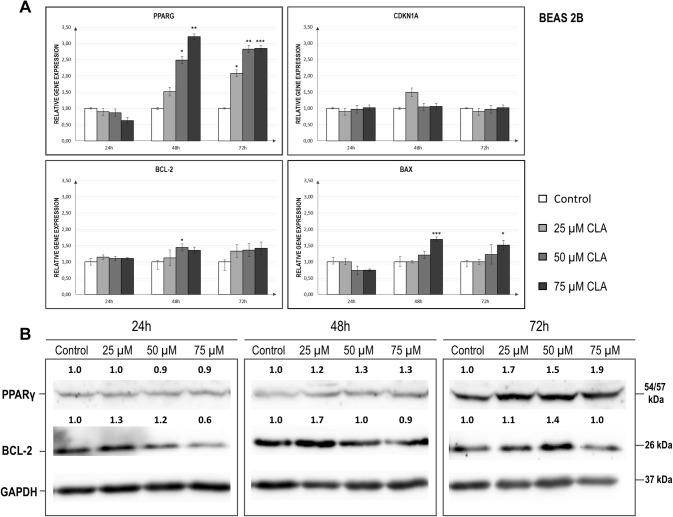 https://cdn.ncbi.nlm.nih.gov/pmc/blobs/1cf9/7028827/7e13d41694c5/11010_2020_3689_Fig3_HTML.jpg