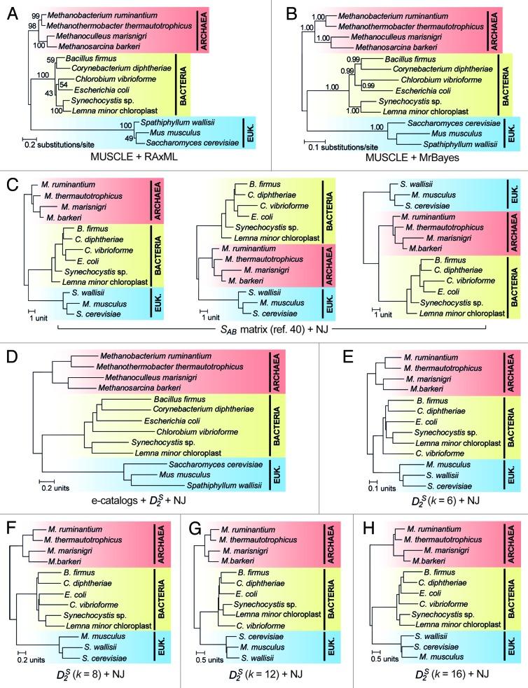 https://cdn.ncbi.nlm.nih.gov/pmc/blobs/1cfa/4008546/649e53e3dd49/rna-11-176-g1.jpg