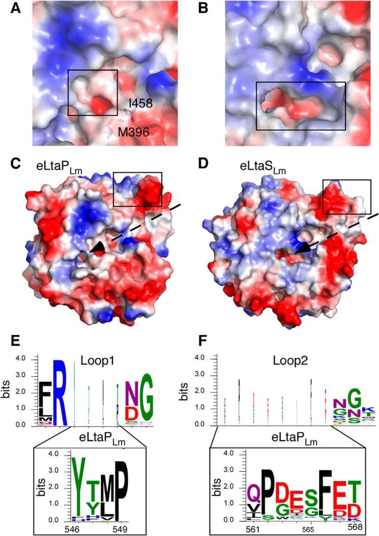 https://cdn.ncbi.nlm.nih.gov/pmc/blobs/1cfa/4192460/8874df007c93/zbc0441497490002.jpg