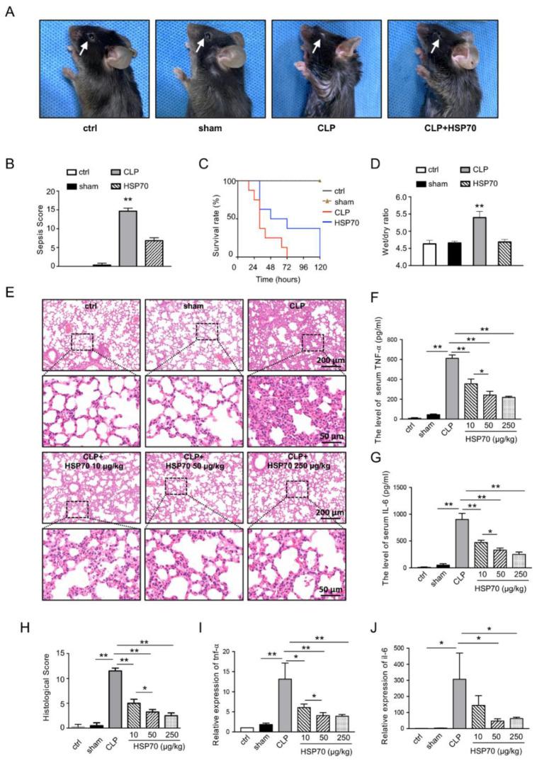 https://cdn.ncbi.nlm.nih.gov/pmc/blobs/1cfc/8946178/86a157bbaa4b/biomolecules-12-00410-g001.jpg