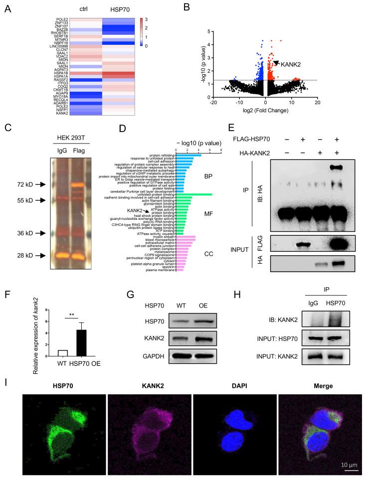 https://cdn.ncbi.nlm.nih.gov/pmc/blobs/1cfc/8946178/8e5dc3be5a50/biomolecules-12-00410-g004.jpg