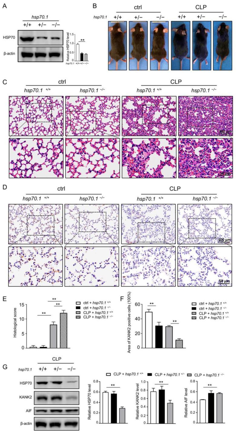 https://cdn.ncbi.nlm.nih.gov/pmc/blobs/1cfc/8946178/ba2657f060cd/biomolecules-12-00410-g006.jpg