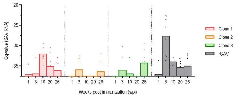 https://cdn.ncbi.nlm.nih.gov/pmc/blobs/1cfd/11861613/ca6a4daa0f6a/vaccines-13-00190-g003.jpg
