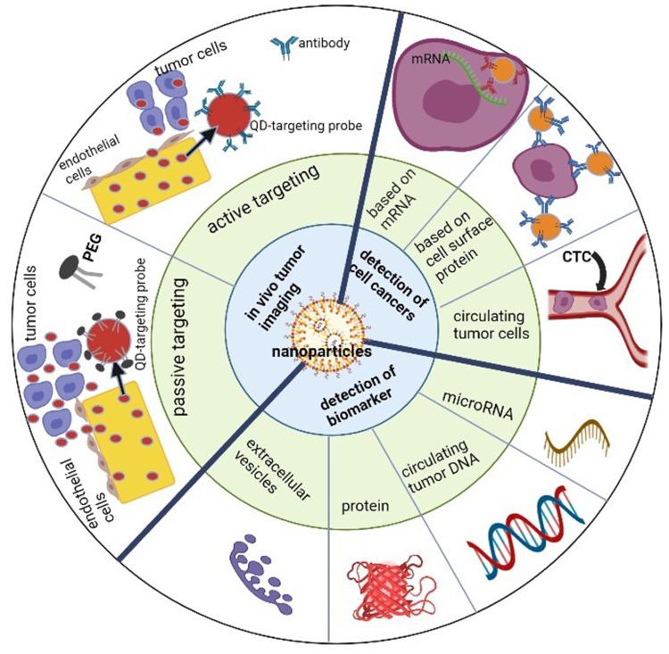 https://cdn.ncbi.nlm.nih.gov/pmc/blobs/1cfd/9427008/0c57e85827a5/IJN-17-3735-g0001.jpg