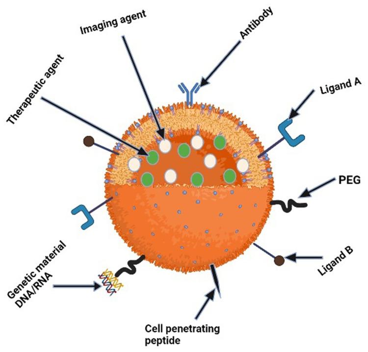 https://cdn.ncbi.nlm.nih.gov/pmc/blobs/1cfd/9427008/b2219ec24f25/IJN-17-3735-g0003.jpg